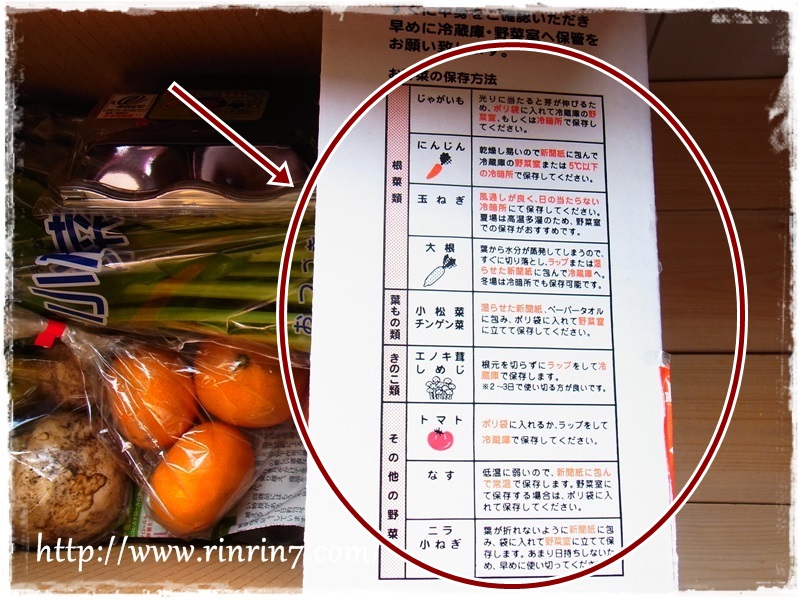 「九州野菜王国」野菜セット