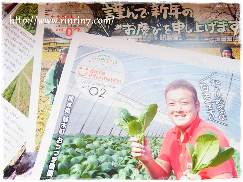 「九州野菜王国」野菜セット