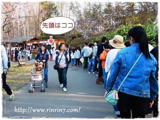 平岡公園梅ソフト