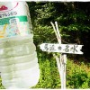 馬追(マオイ)の名水